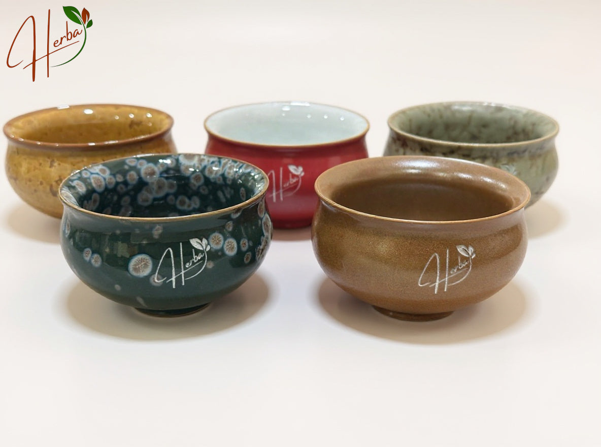 Handcrafted Ceramic Tea Cup Gift Set – 5 Assorted Colors in Premium Box