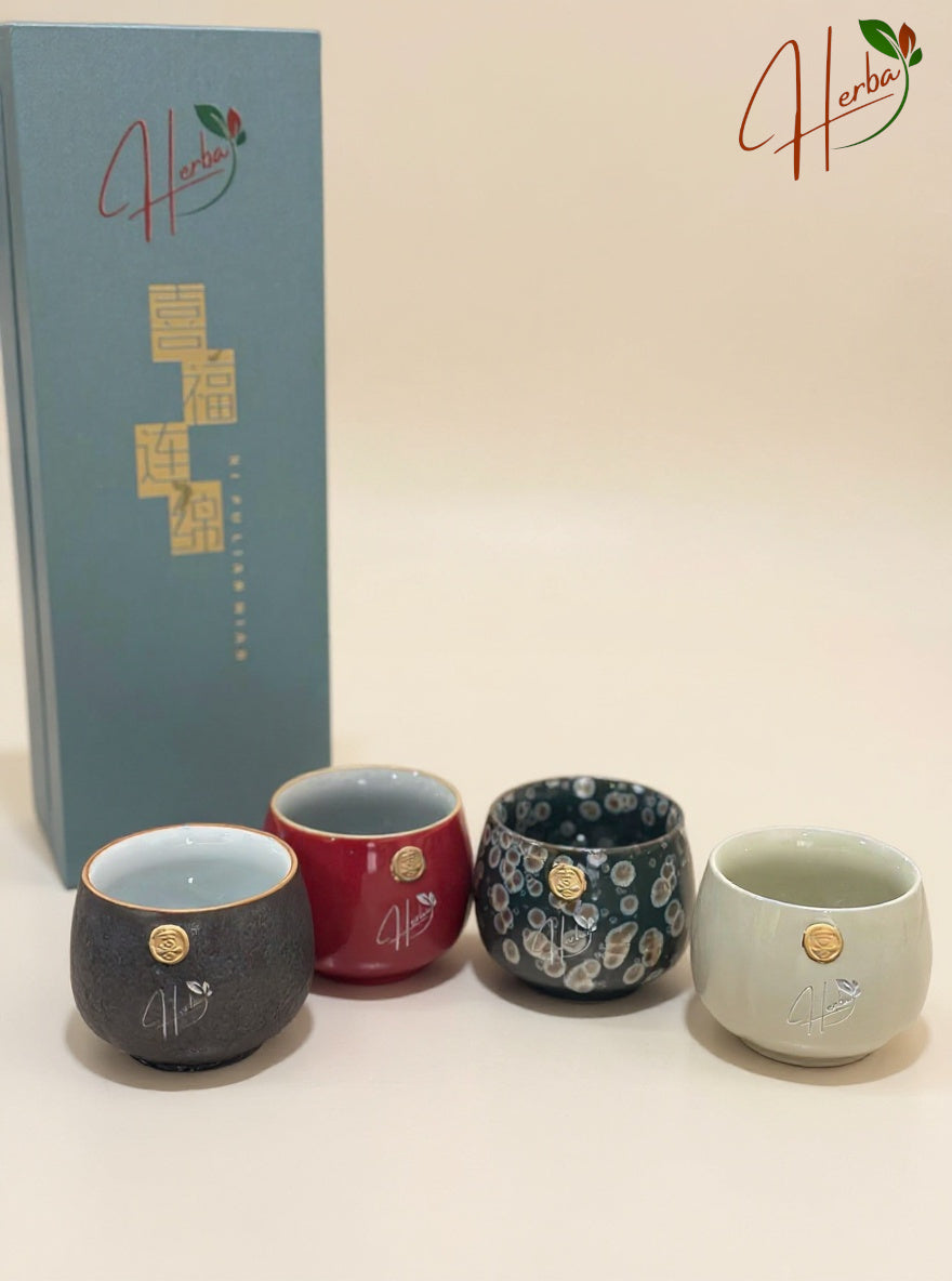 Handcrafted Ceramic Tea Cup Gift Set – 4 Assorted Colors in Premium Box