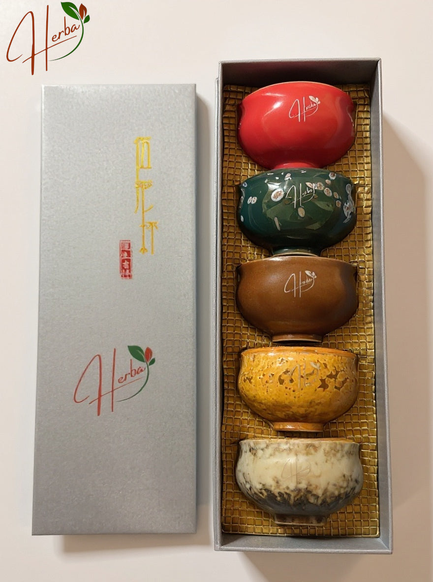 Handcrafted Ceramic Tea Cup Gift Set – 5 Assorted Colors in Premium Box