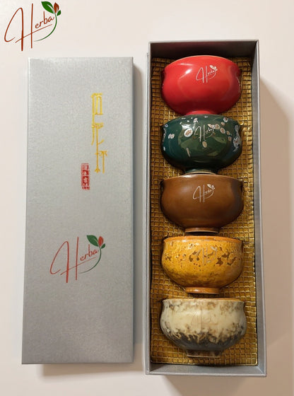 Handcrafted Ceramic Tea Cup Gift Set – 5 Assorted Colors in Premium Box