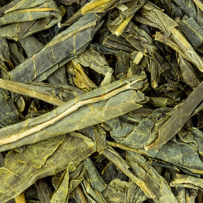 Green Tea Sencha Organic